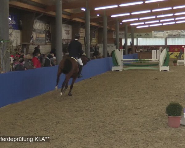 Reitturnier Isterberg 2020