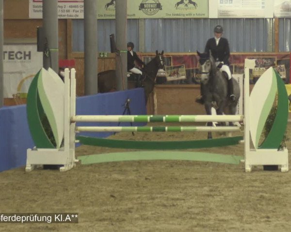 Reitturnier Isterberg 2020