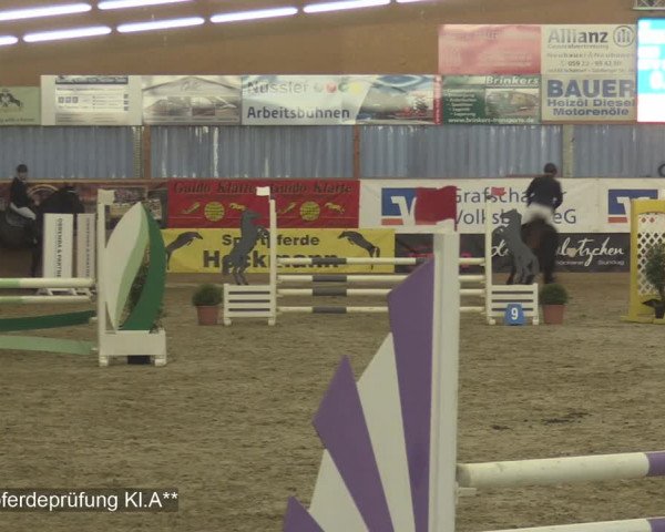 Reitturnier Isterberg 2020
