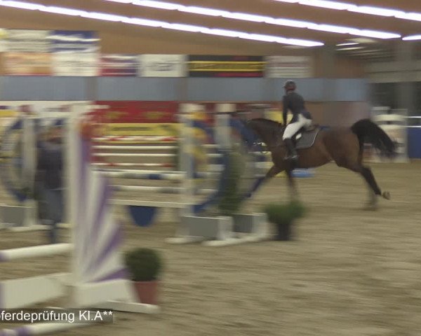 Reitturnier Isterberg 2020