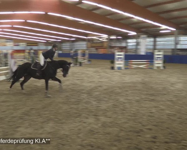 Reitturnier Isterberg 2020