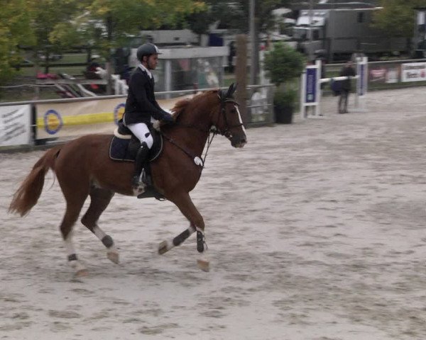 Reitturnier Achern 2020