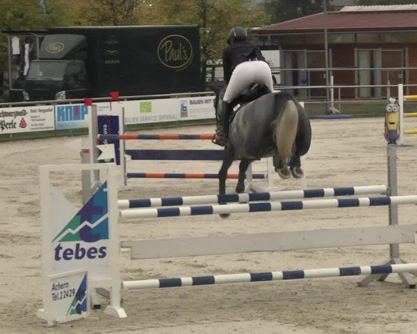 Reitturnier Achern 2020