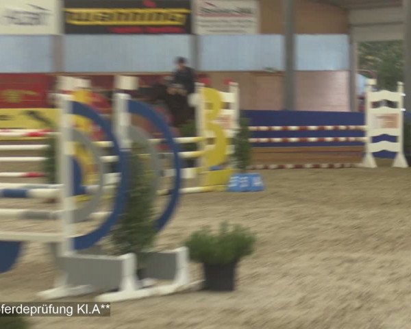 Reitturnier Isterberg 2020