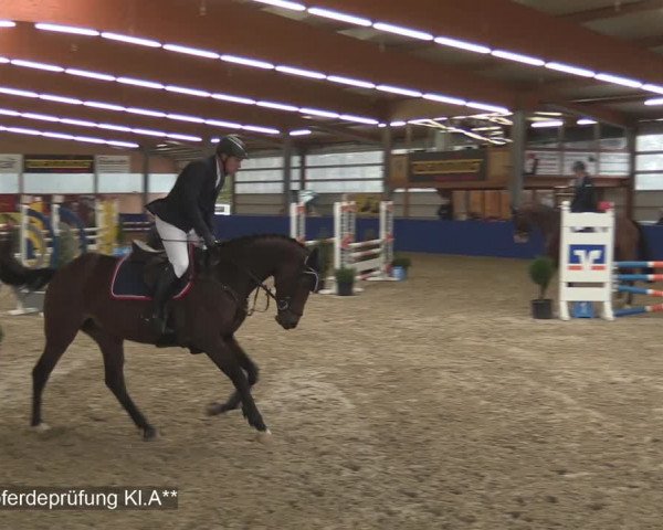 Reitturnier Isterberg 2020