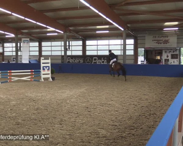 Reitturnier Isterberg 2020