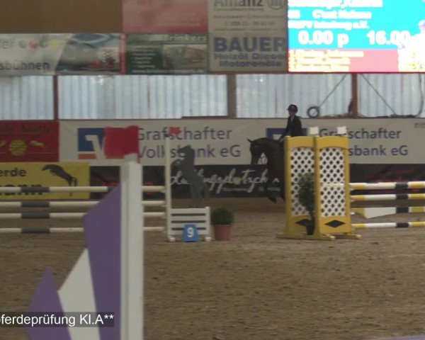 Reitturnier Isterberg 2020