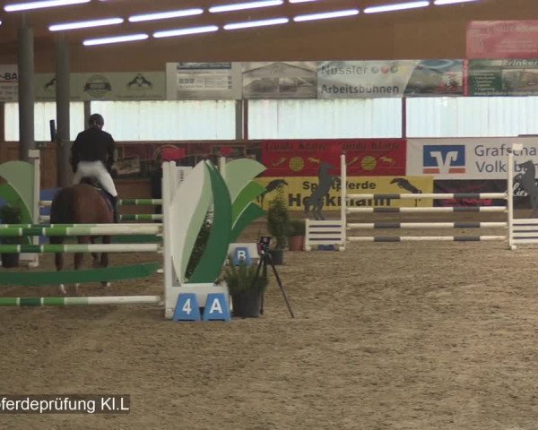 Reitturnier Isterberg 2020