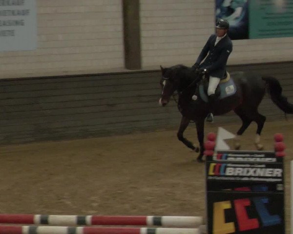 Reitturnier Heilbronn 2020