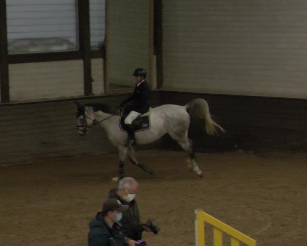 Reitturnier Heilbronn 2020