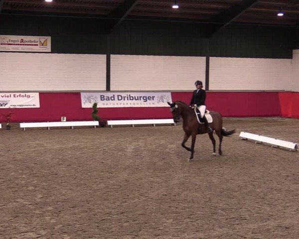 Reitturnier Salzkotten 2020