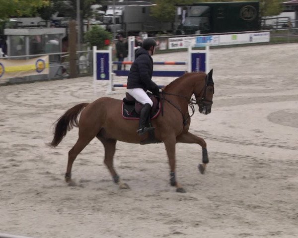 Reitturnier Achern 2020