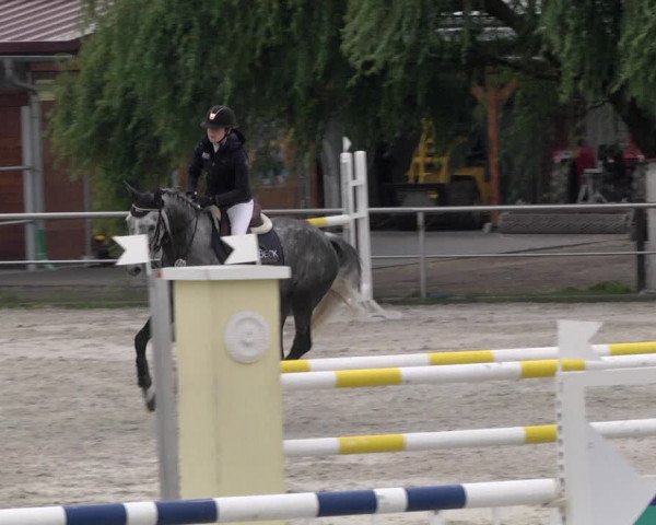 Reitturnier Achern 2020