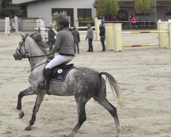 Reitturnier Achern 2020