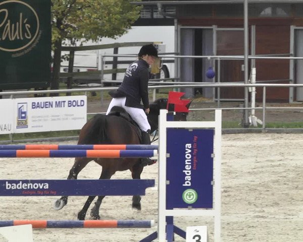 Reitturnier Achern 2020