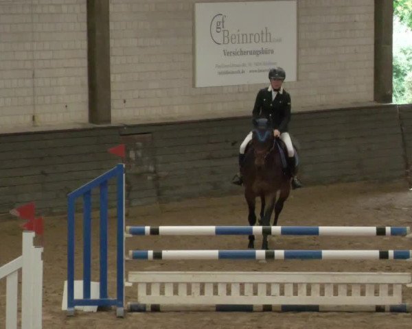 Reitturnier Heilbronn 2020