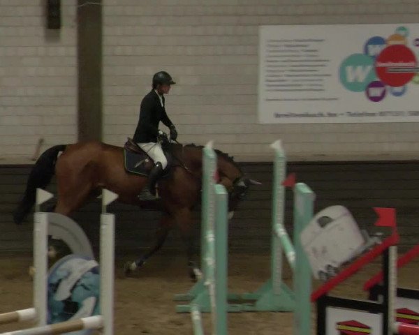 Reitturnier Heilbronn 2020