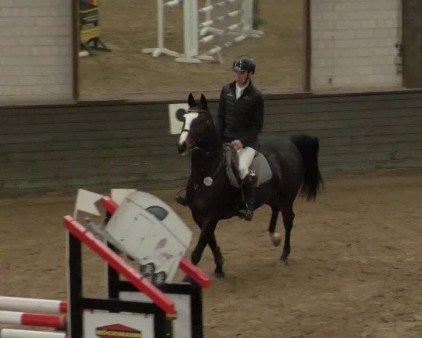 Reitturnier Heilbronn 2020