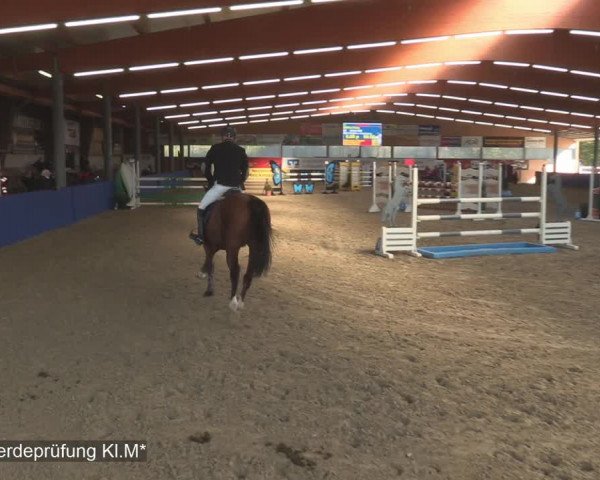 Reitturnier Isterberg 2020