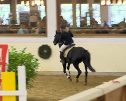 broodmare Leila 348 (German Warmblood, 1996, from Unbekannt Pony)