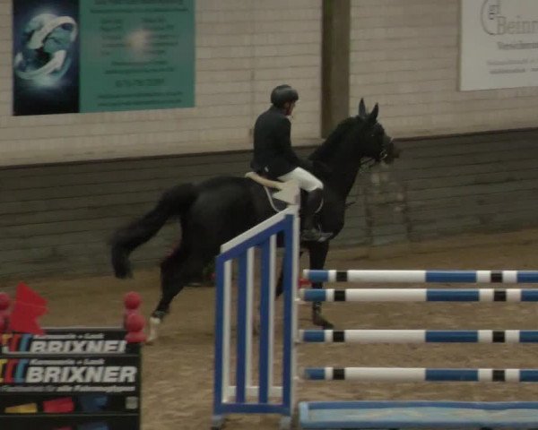 Reitturnier Heilbronn 2020