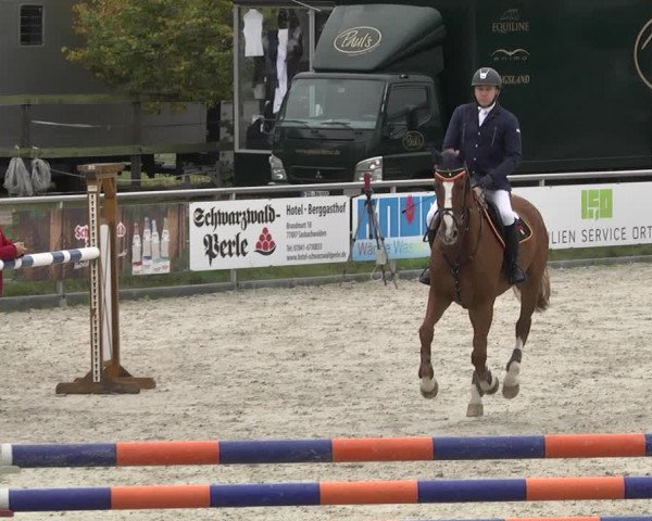 Reitturnier Achern 2020