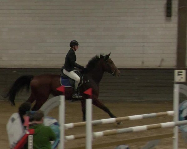 Reitturnier Heilbronn 2020