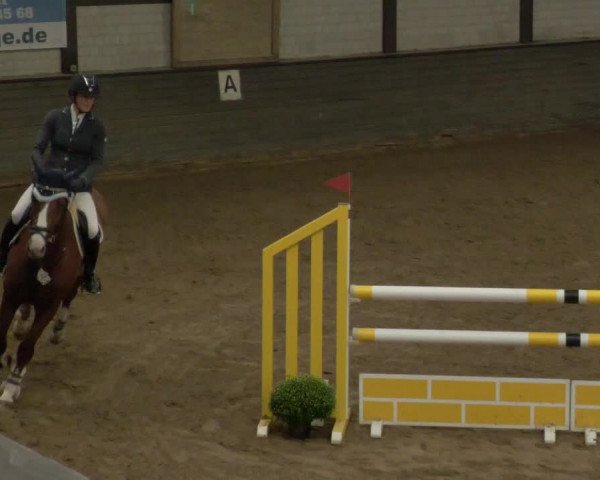 Reitturnier Heilbronn 2020