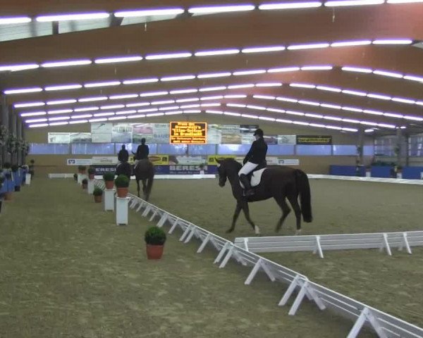 horse Lay me down (Hanoverian, 2006, from Lauries As)