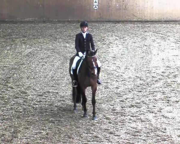 Dressurpferd Herzelinde (Mecklenburger, 2009, von Herzensdieb)