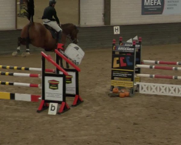 Reitturnier Heilbronn 2020