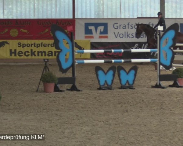 Reitturnier Isterberg 2020