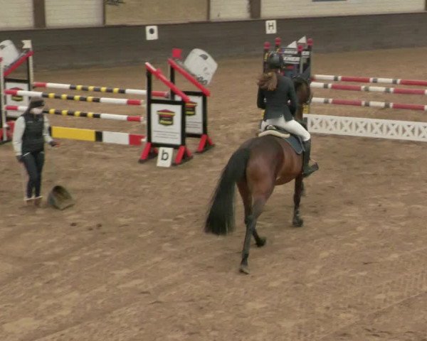 Reitturnier Heilbronn 2020