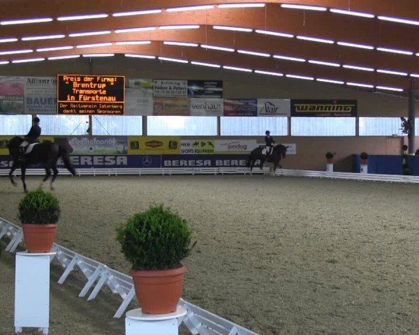 broodmare Dorkas 5 (Hanoverian, 2008, from Dauphin)