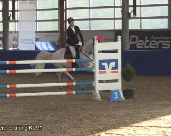 Reitturnier Isterberg 2020