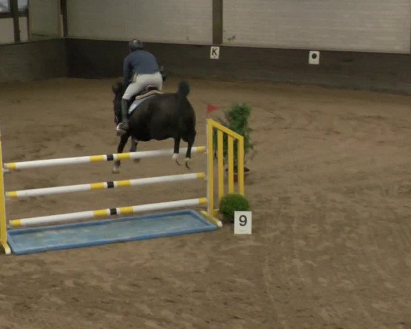 Reitturnier Heilbronn 2020