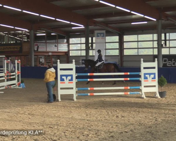 Reitturnier Isterberg 2020