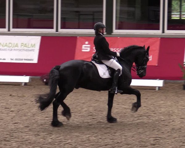 Reitturnier Salzkotten 2020