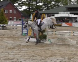 jumper Clinta (Westphalian, 2009)