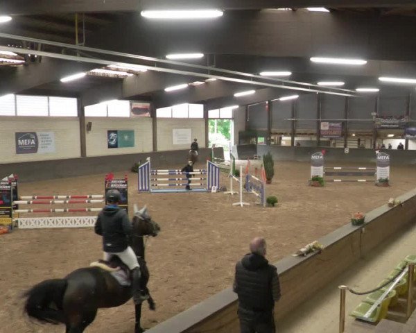 Reitturnier Heilbronn 2020