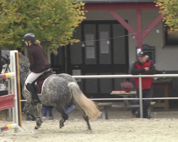 Reitturnier Achern 2020