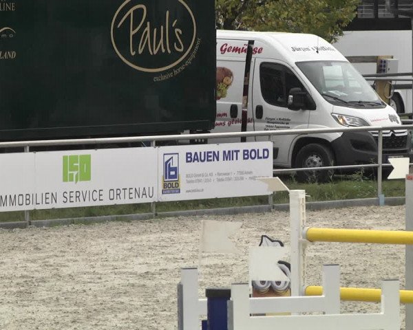 Reitturnier Achern 2020