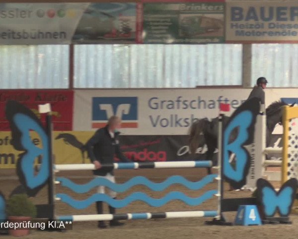 Reitturnier Isterberg 2020