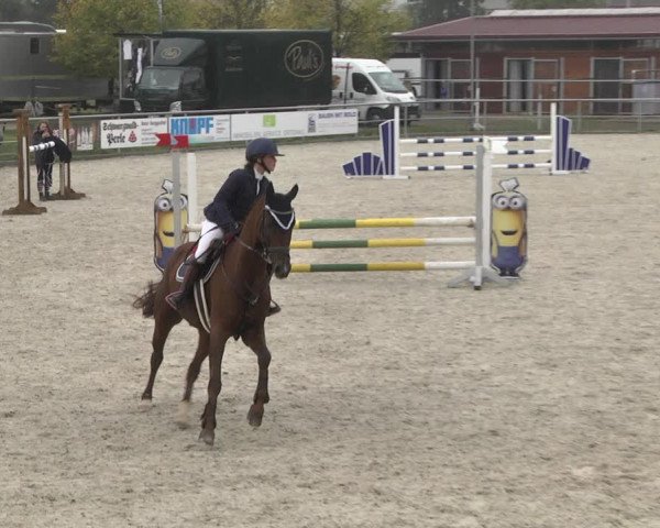 Reitturnier Achern 2020