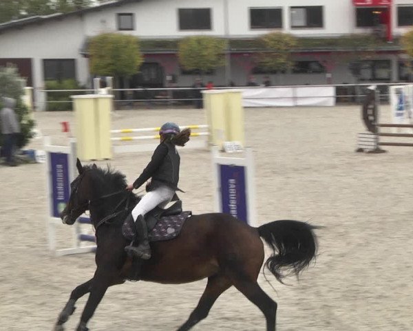 Reitturnier Achern 2020