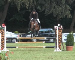 broodmare Cachassa Ts (Oldenburg, 2008, from Check In 2)