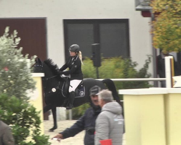 Reitturnier Achern 2020