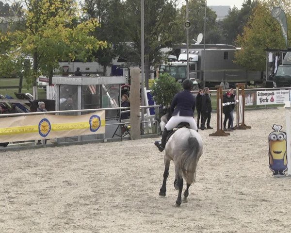 Reitturnier Achern 2020