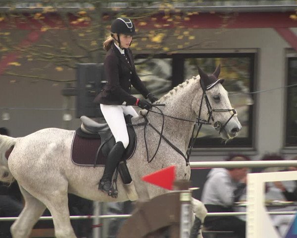 Reitturnier Achern 2020