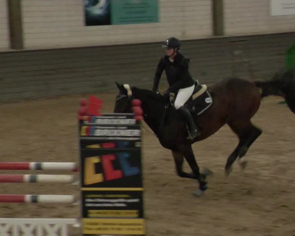 Reitturnier Heilbronn 2020